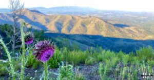 Exploring Windy Point Vista: The Ultimate Scenic Overlook You Can’t Miss